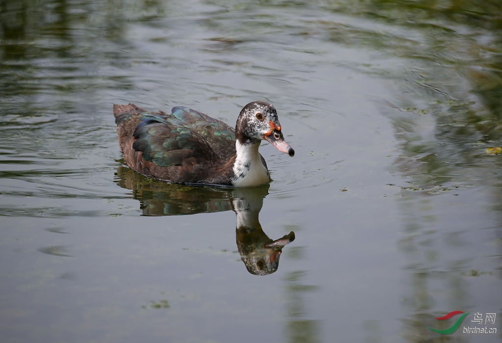 916A8919  01_���� ��Ѽ��Ѽ.jpg