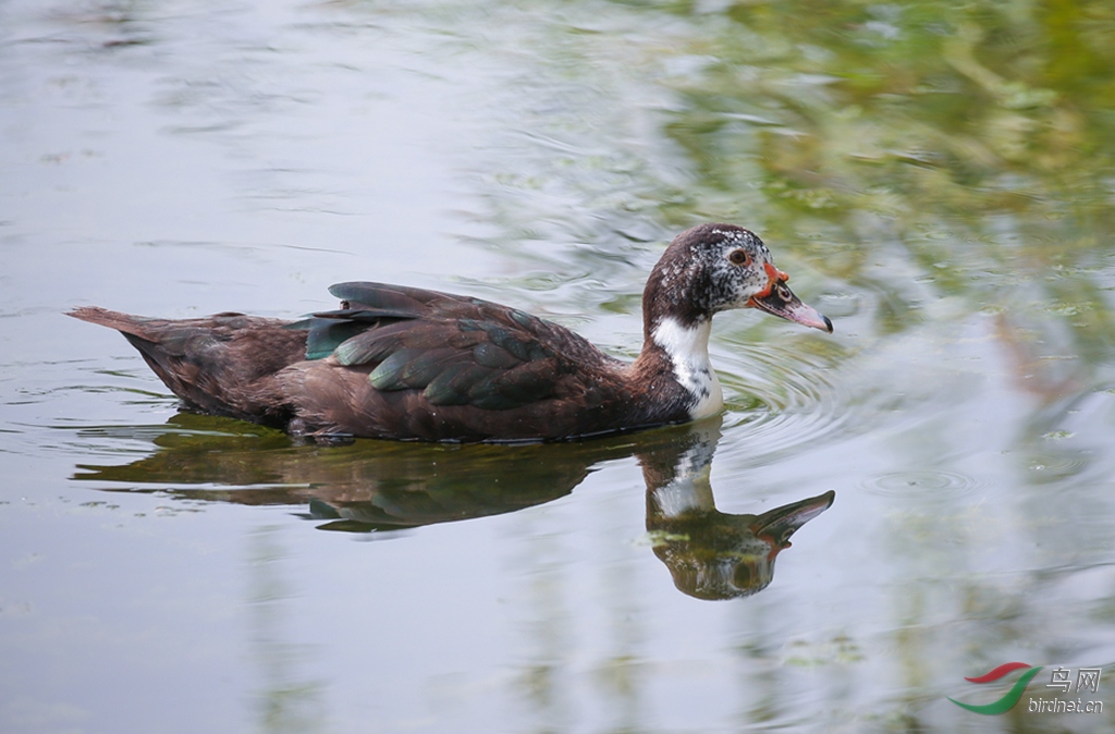 916A8922  01_����_��Ѽ��Ѽ.jpg