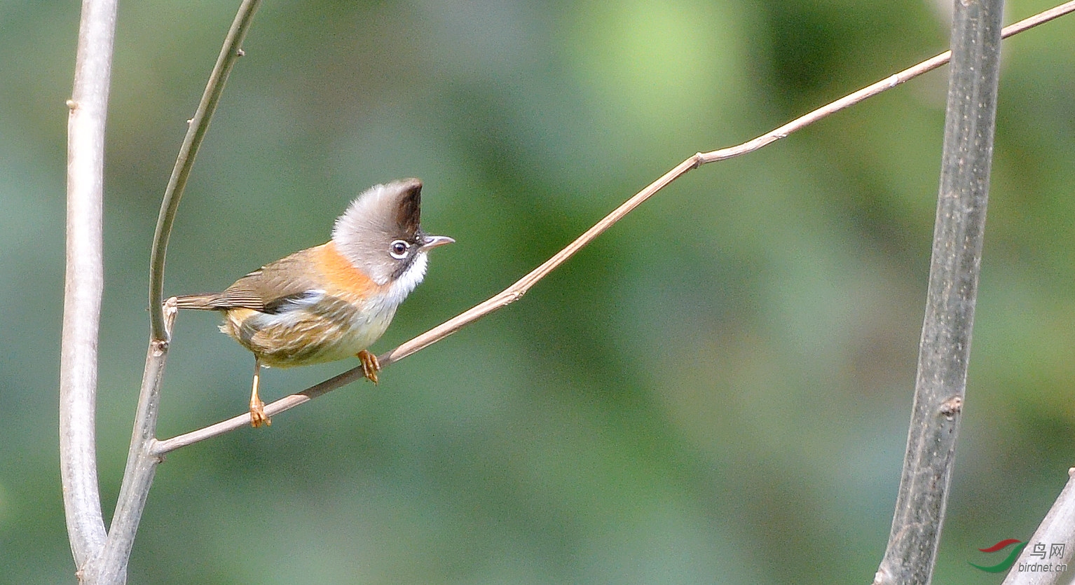 DSC_3534.JPG