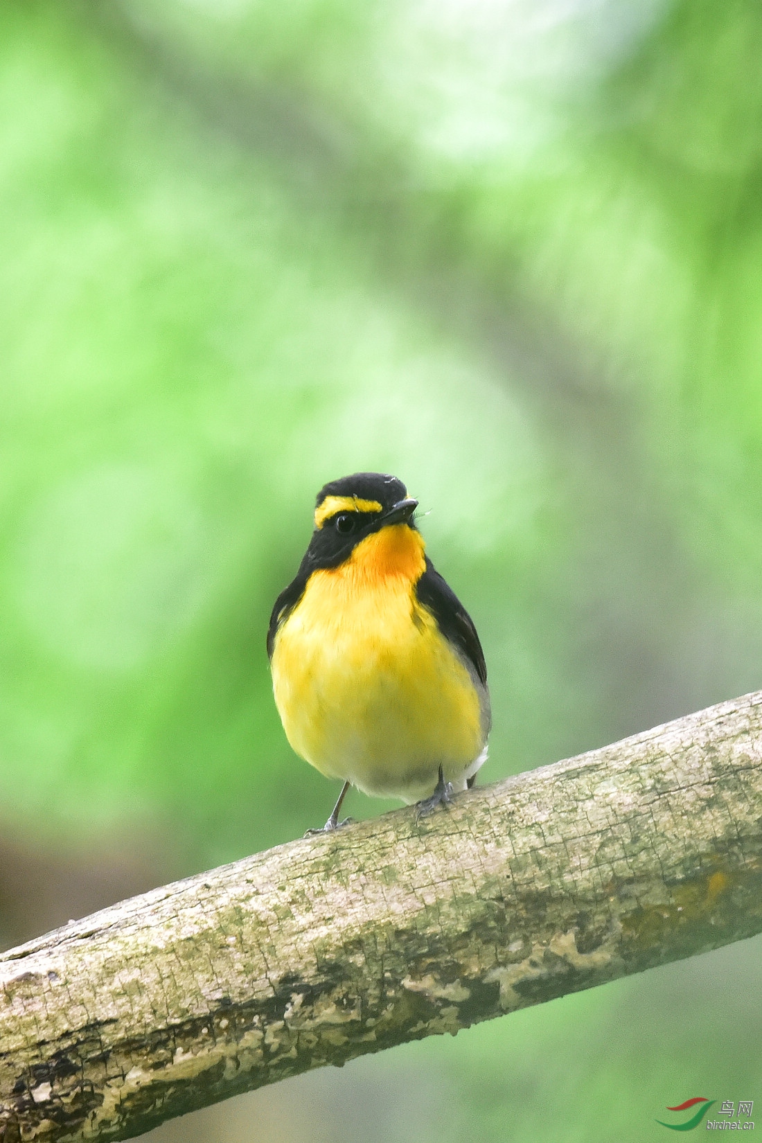 DSC_0554.JPG