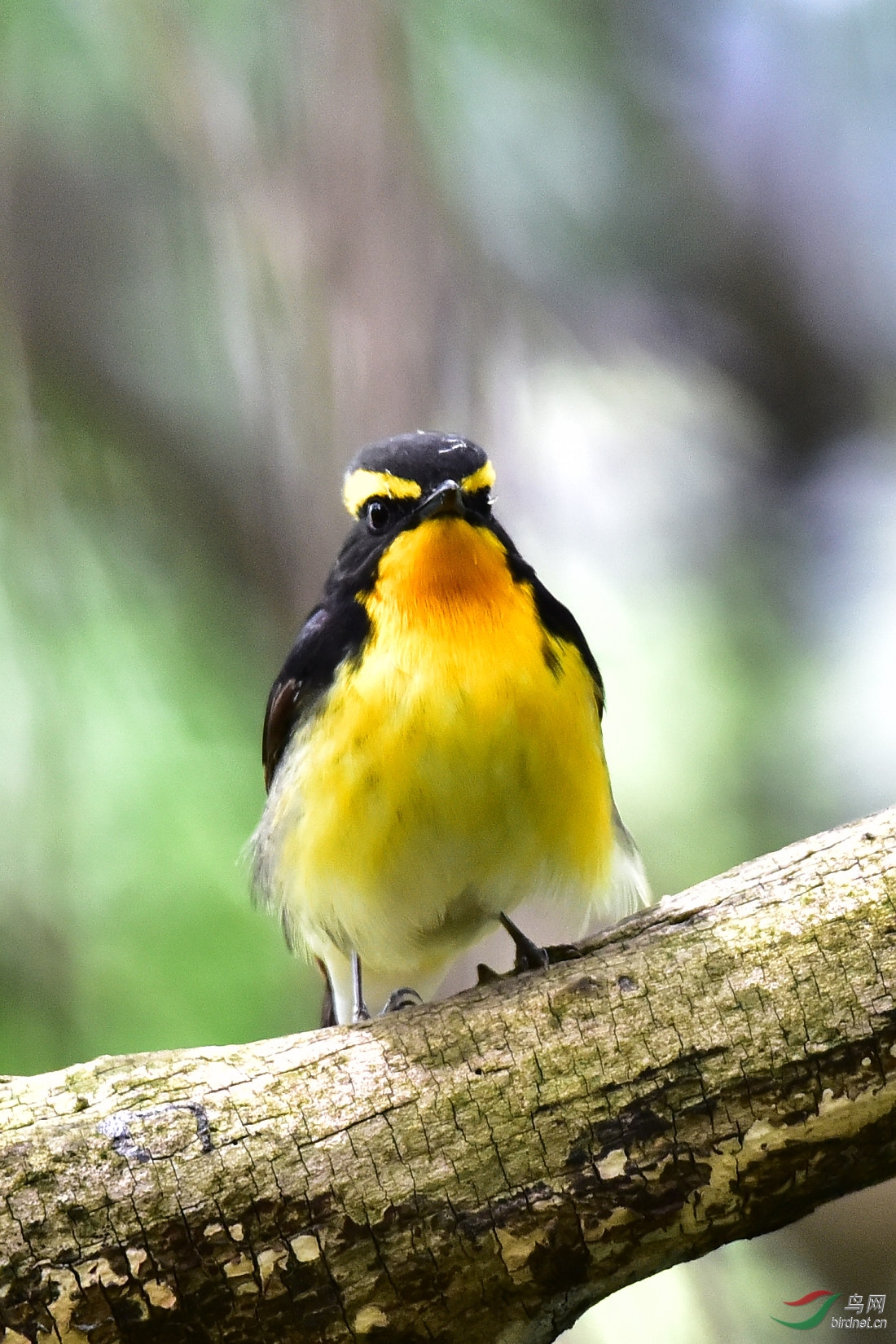 DSC_0560.JPG
