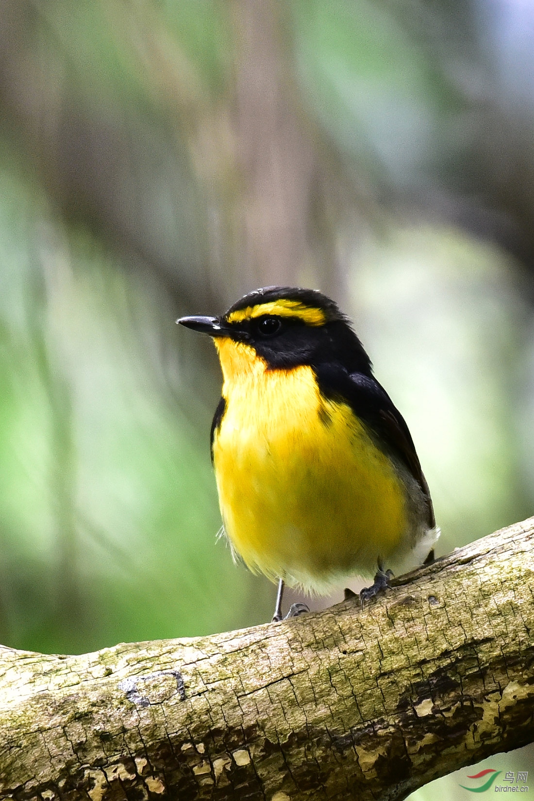 DSC_0562.JPG
