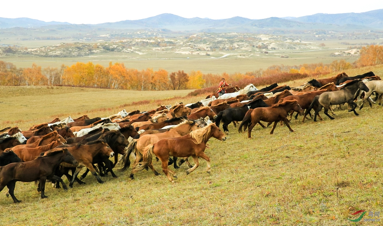 QQphoto����.jpg