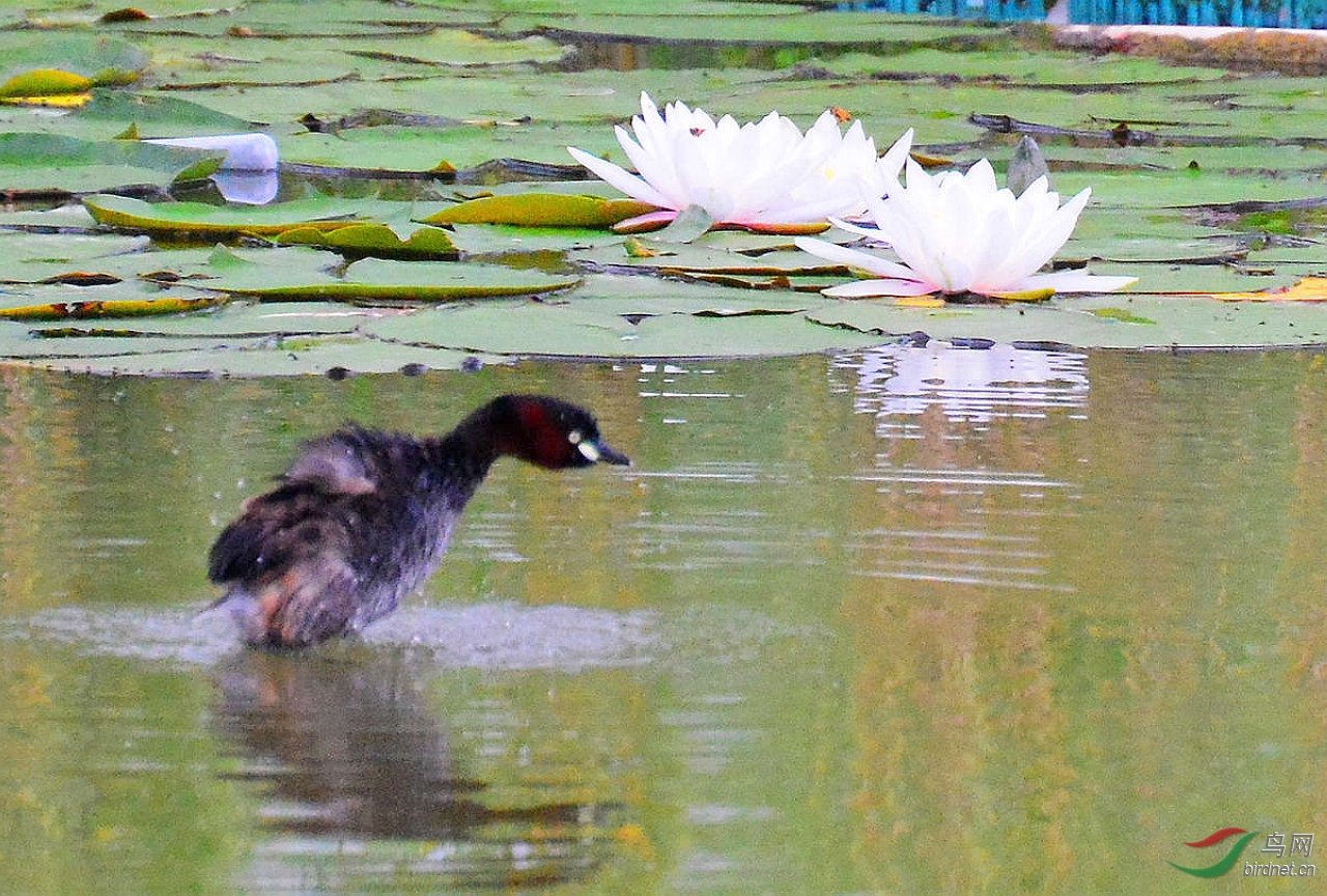DSC_3304.JPG