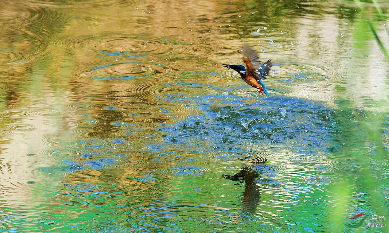 ���� DSC_6623.JPG