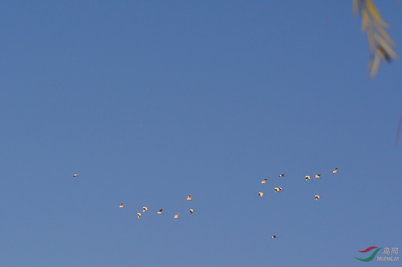 DSC_4415.JPG
