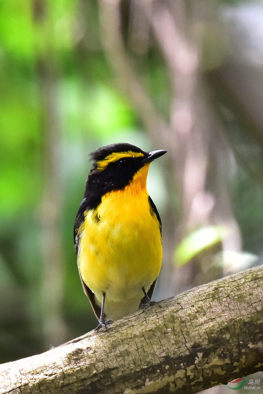 DSC_0566.JPG