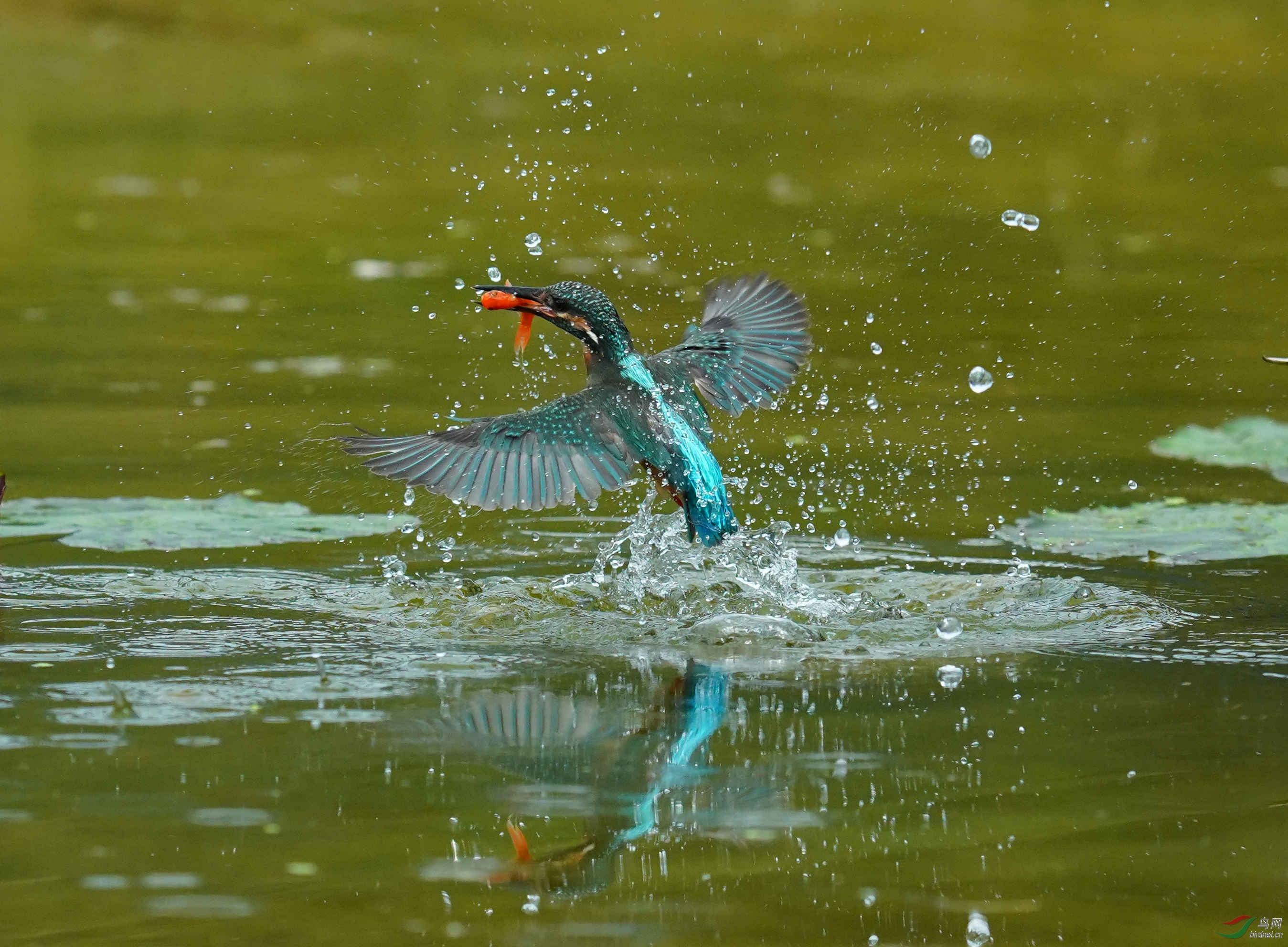 DSC00942_副本.jpg