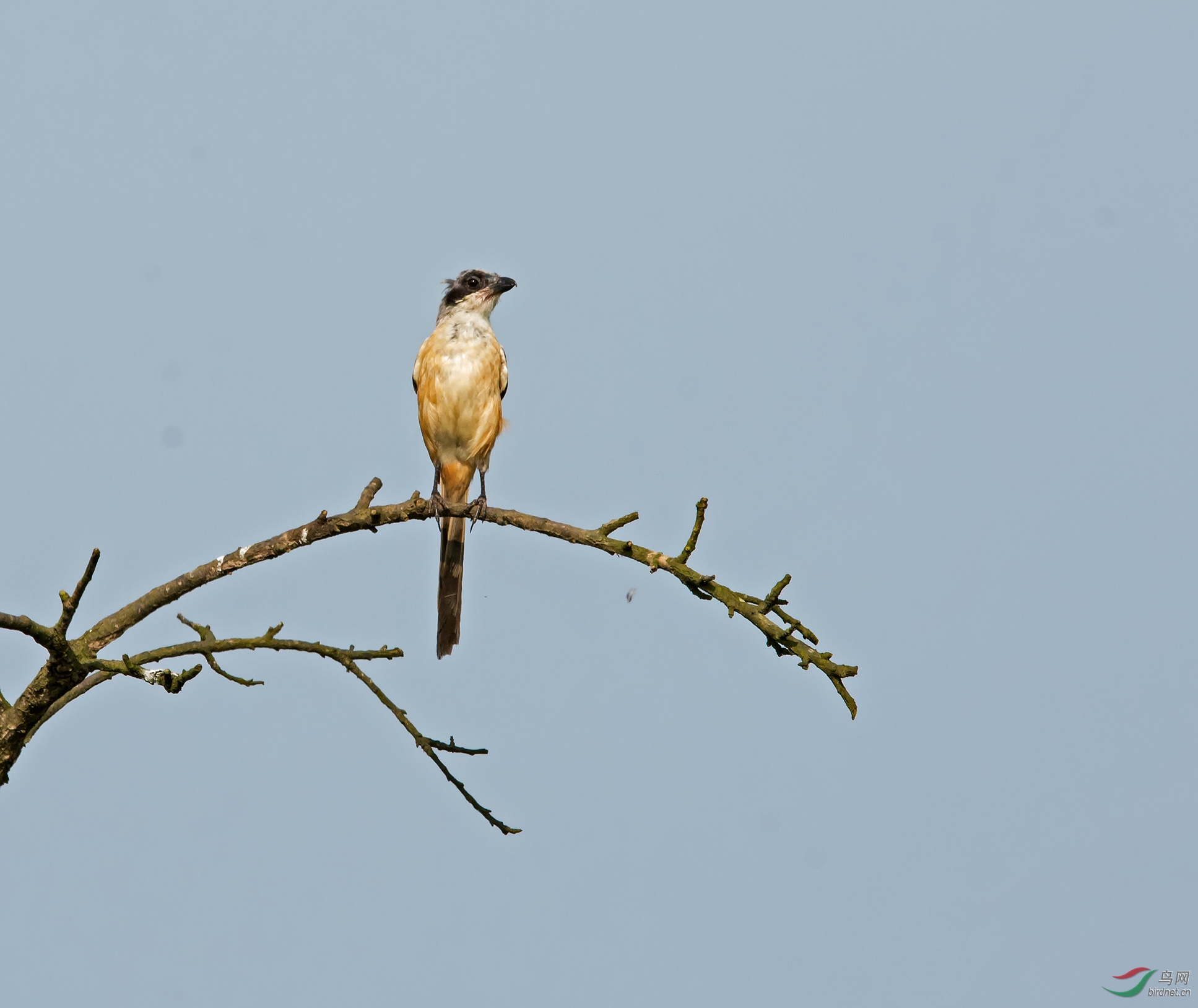 DSC_6657.jpg
