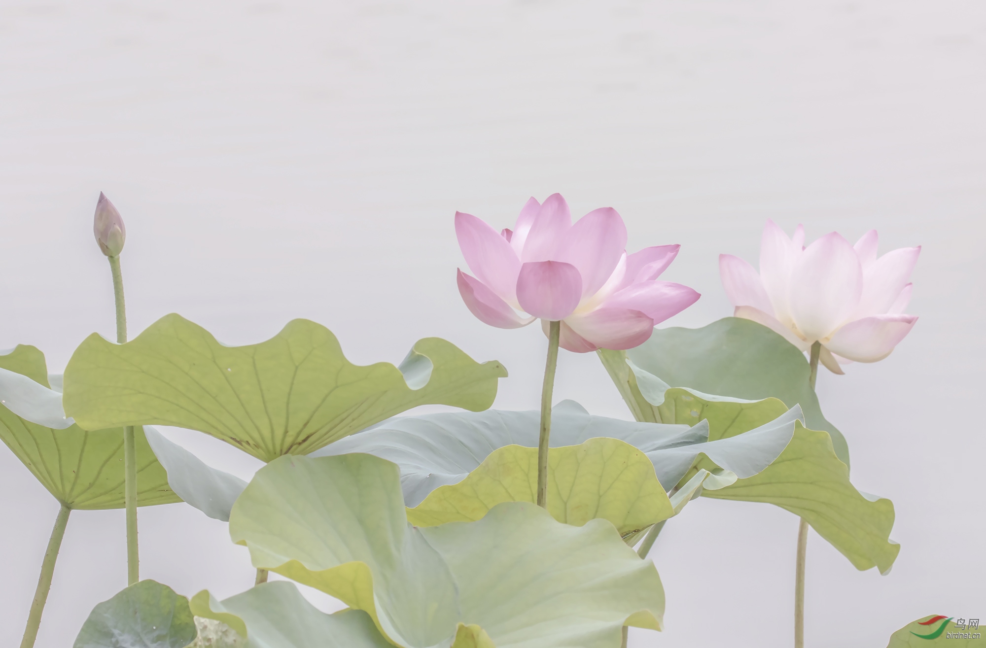 ������Ӱ3