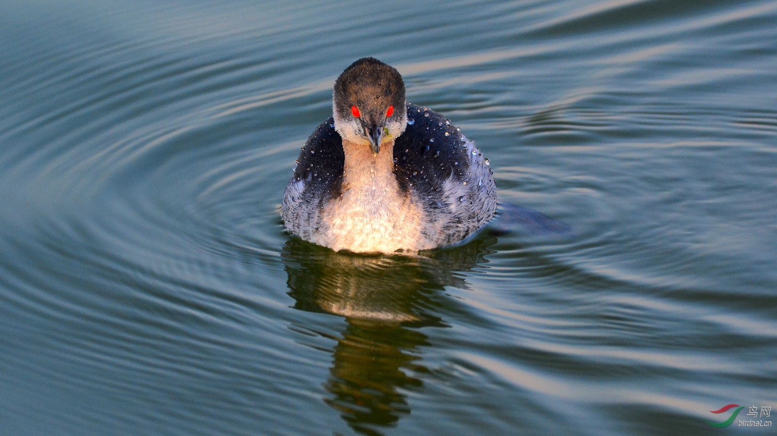 DSC_6902.JPG
