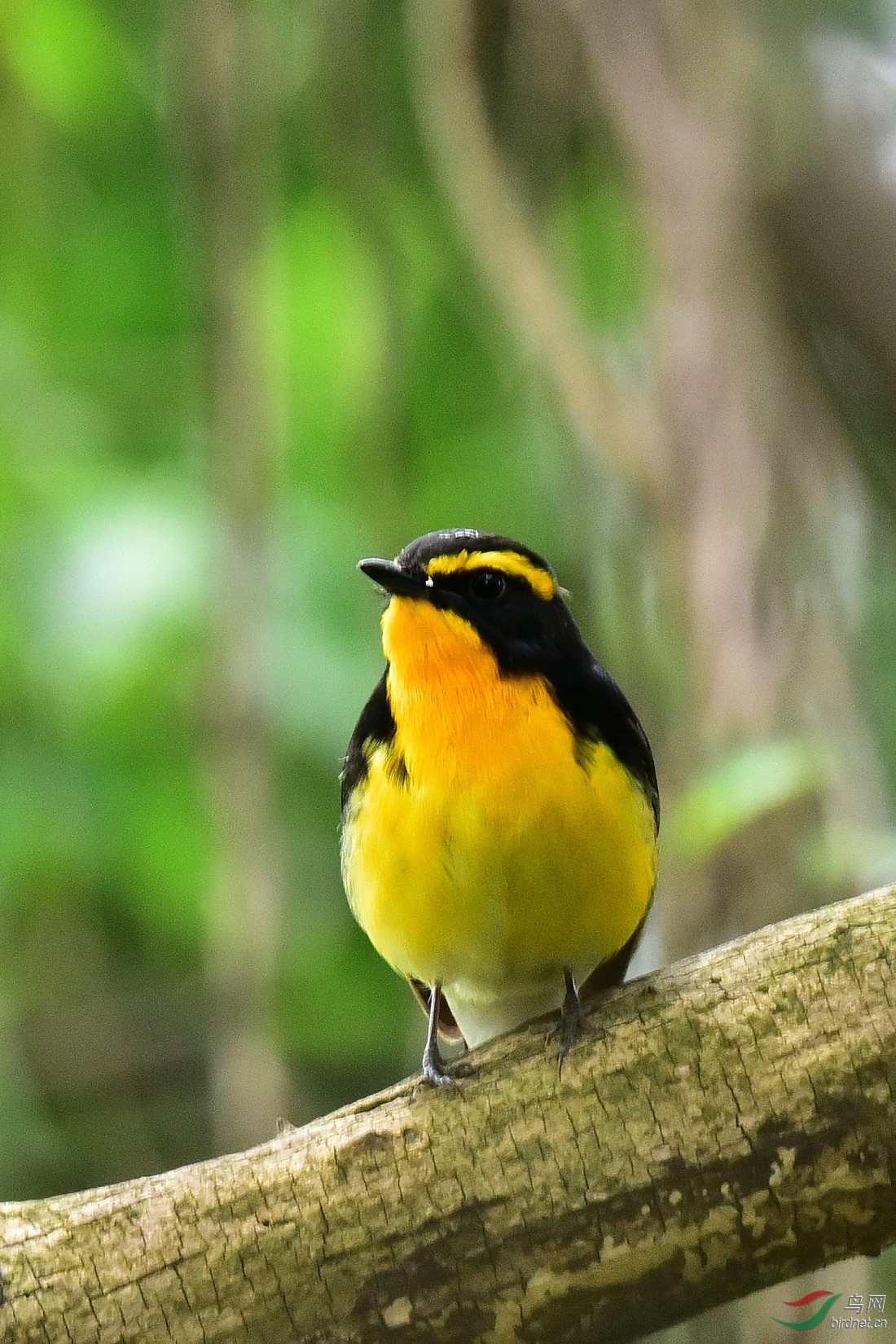 DSC_0569.JPG
