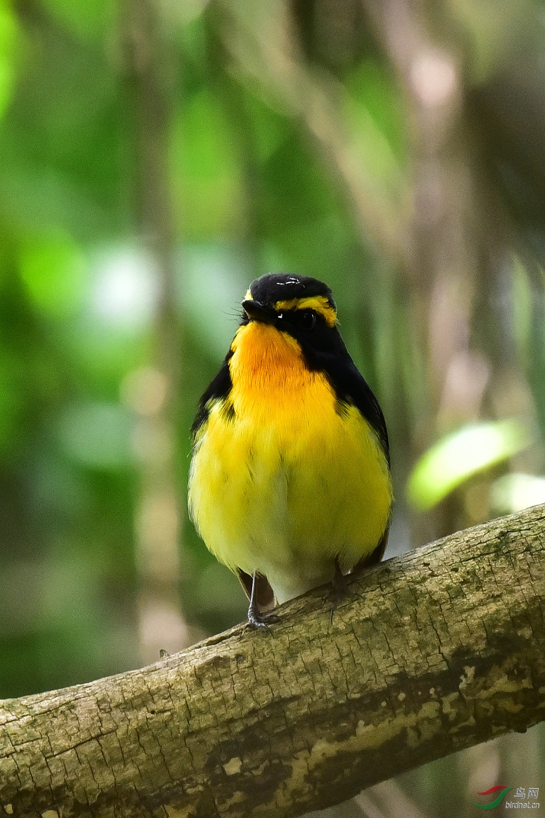DSC_0570.JPG