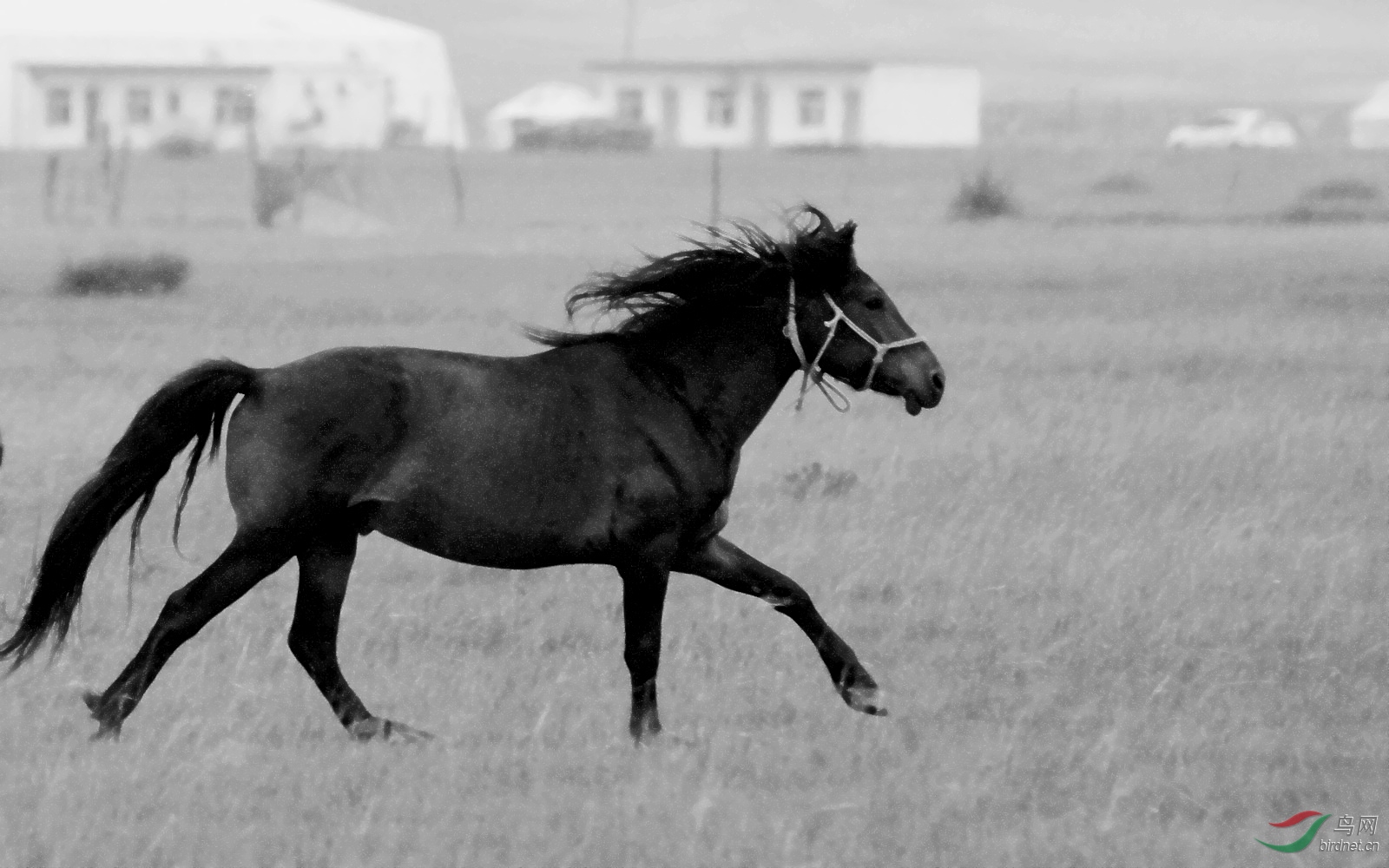 DSC_5428.JPG