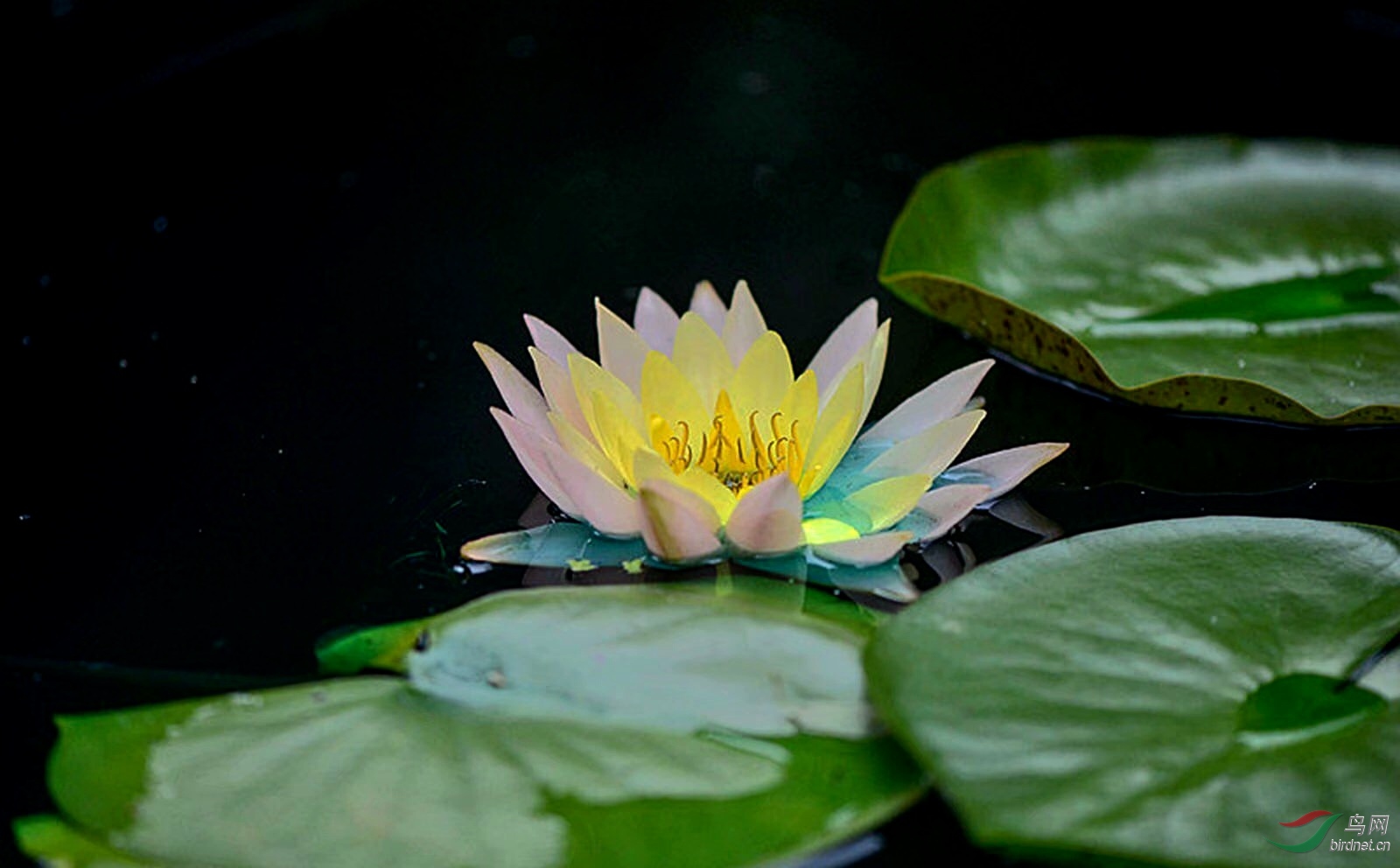 F9BCDE06-3880-40F4-9C73-5C68437218A6.jpeg