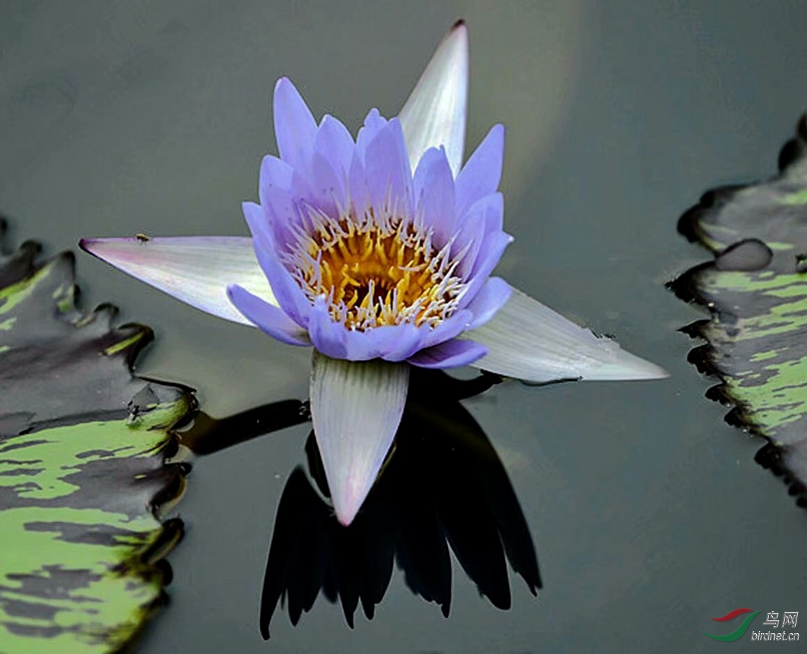 644594C2-F637-4694-A8E4-CC9144FB9032.jpeg