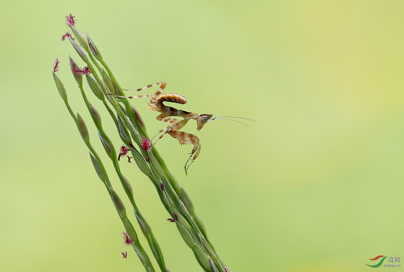 AI0I8076 - ����.JPG