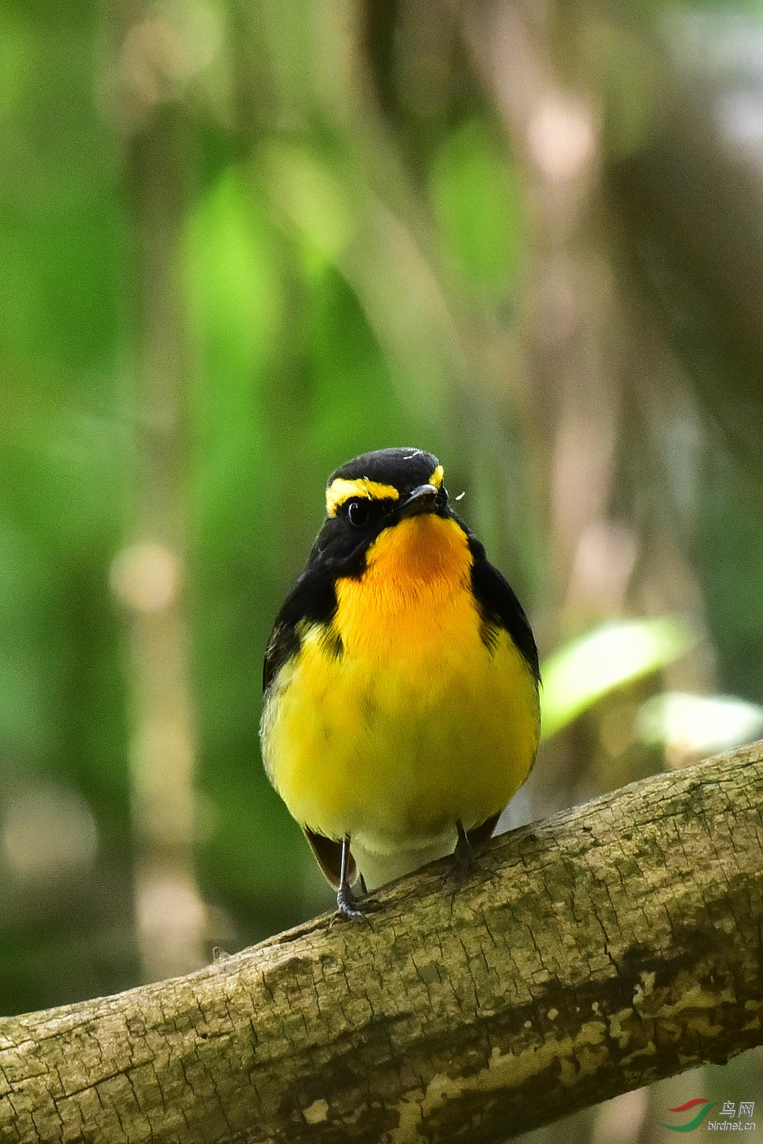 DSC_0572.JPG