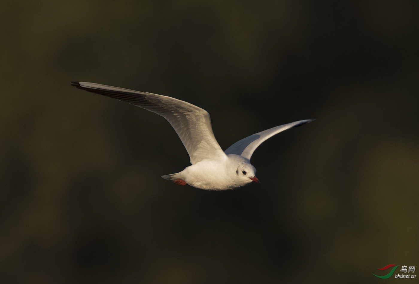 D4S_6235.jpg