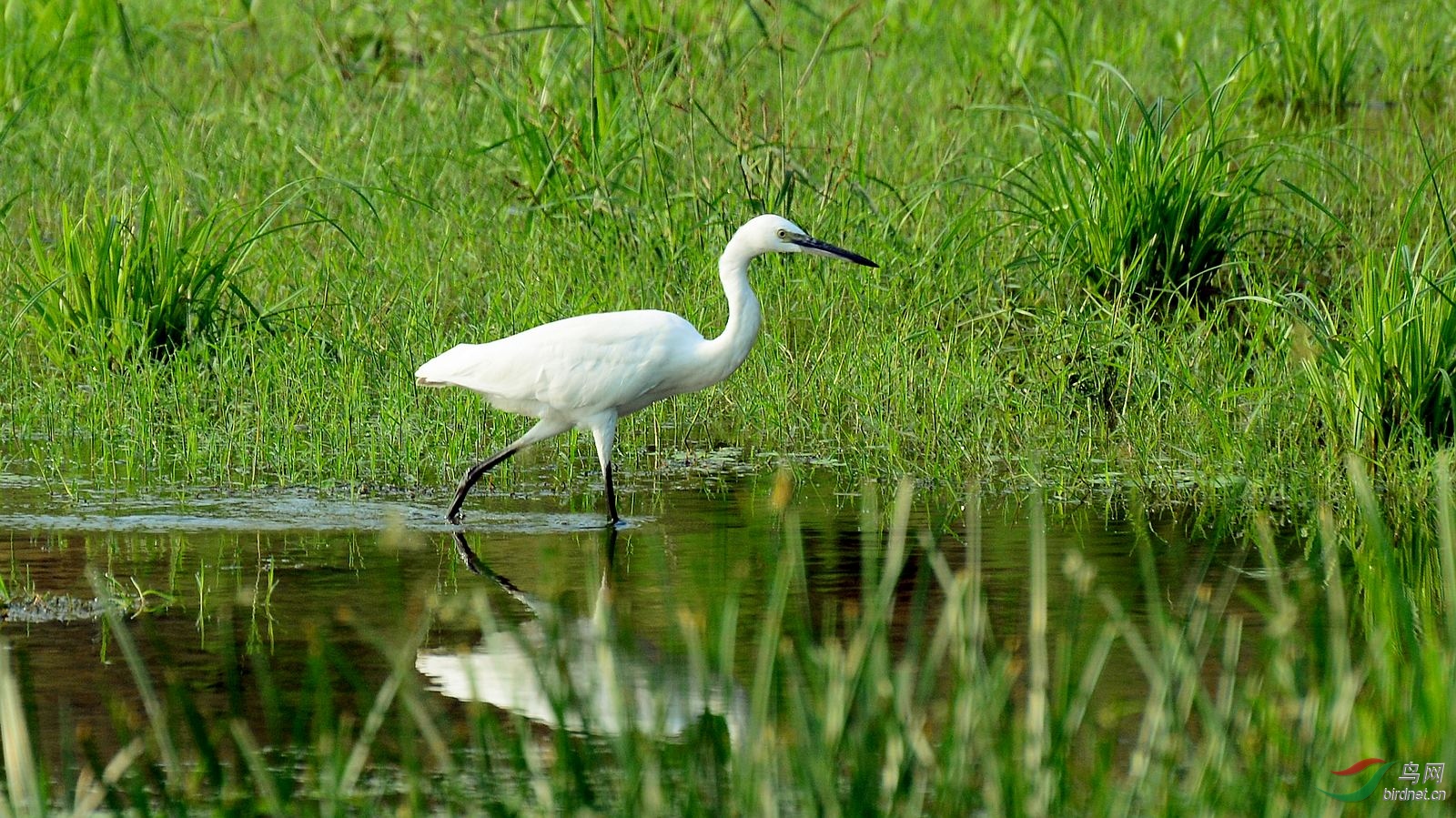 DSC_7089.JPG