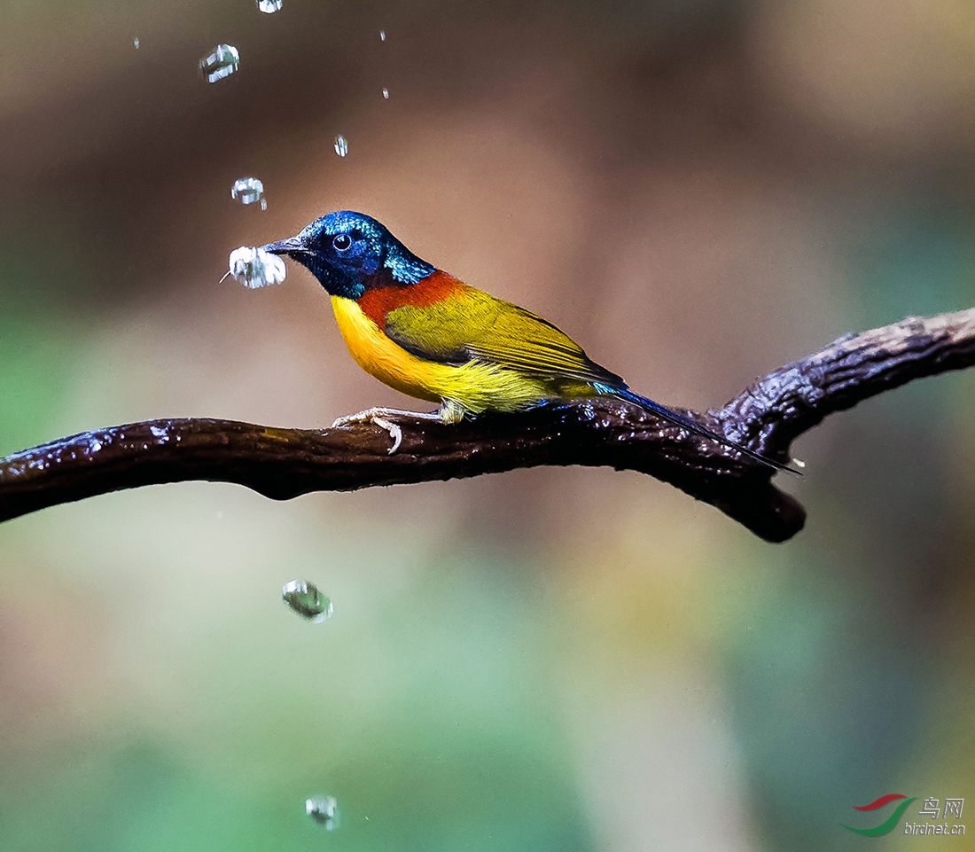 _DSC4974---A07-26T.jpg