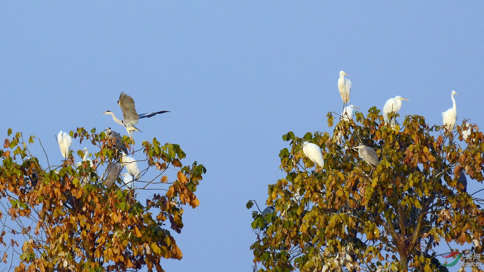 DSC_4422.JPG