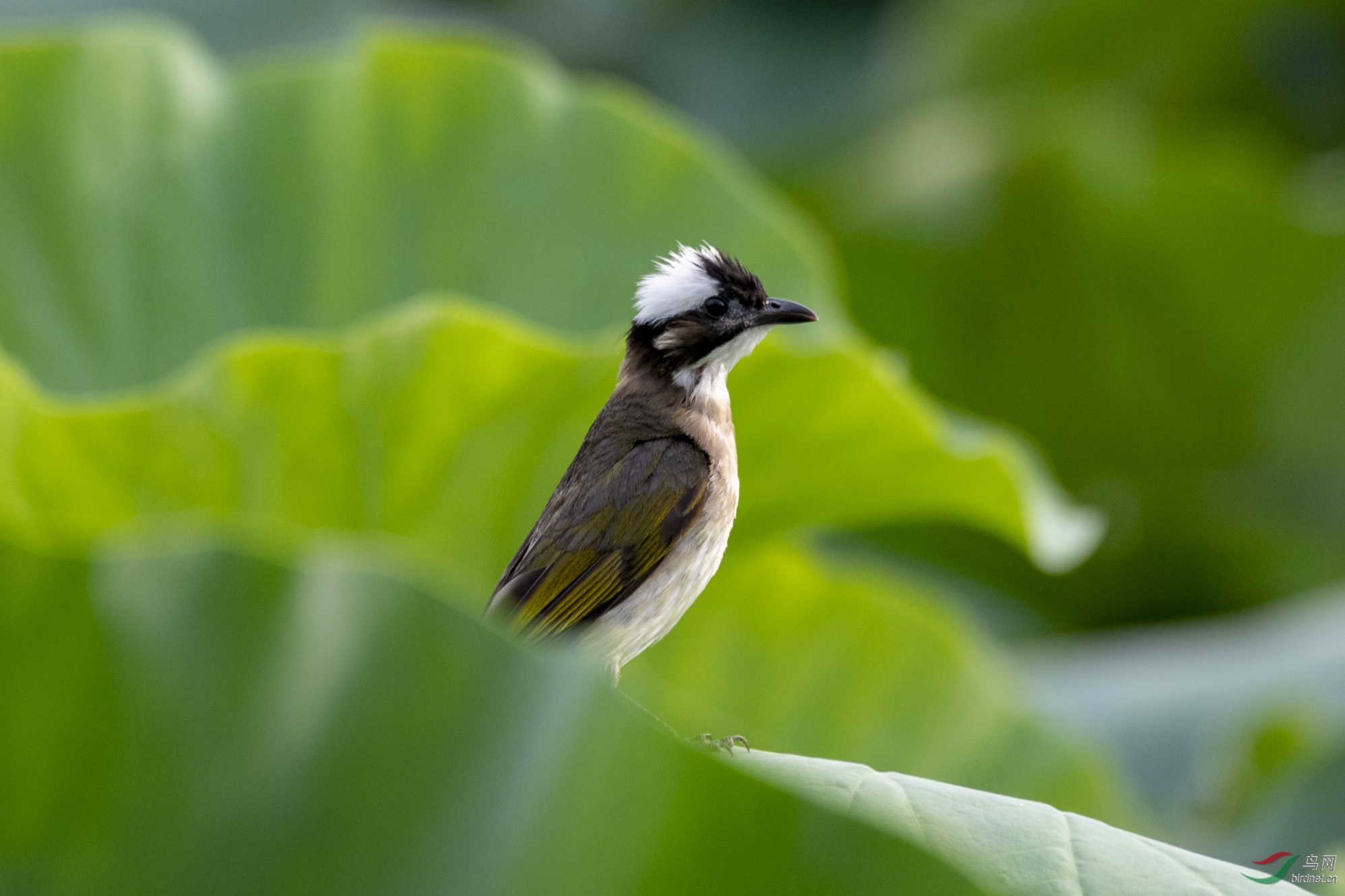 D85_1310.jpg