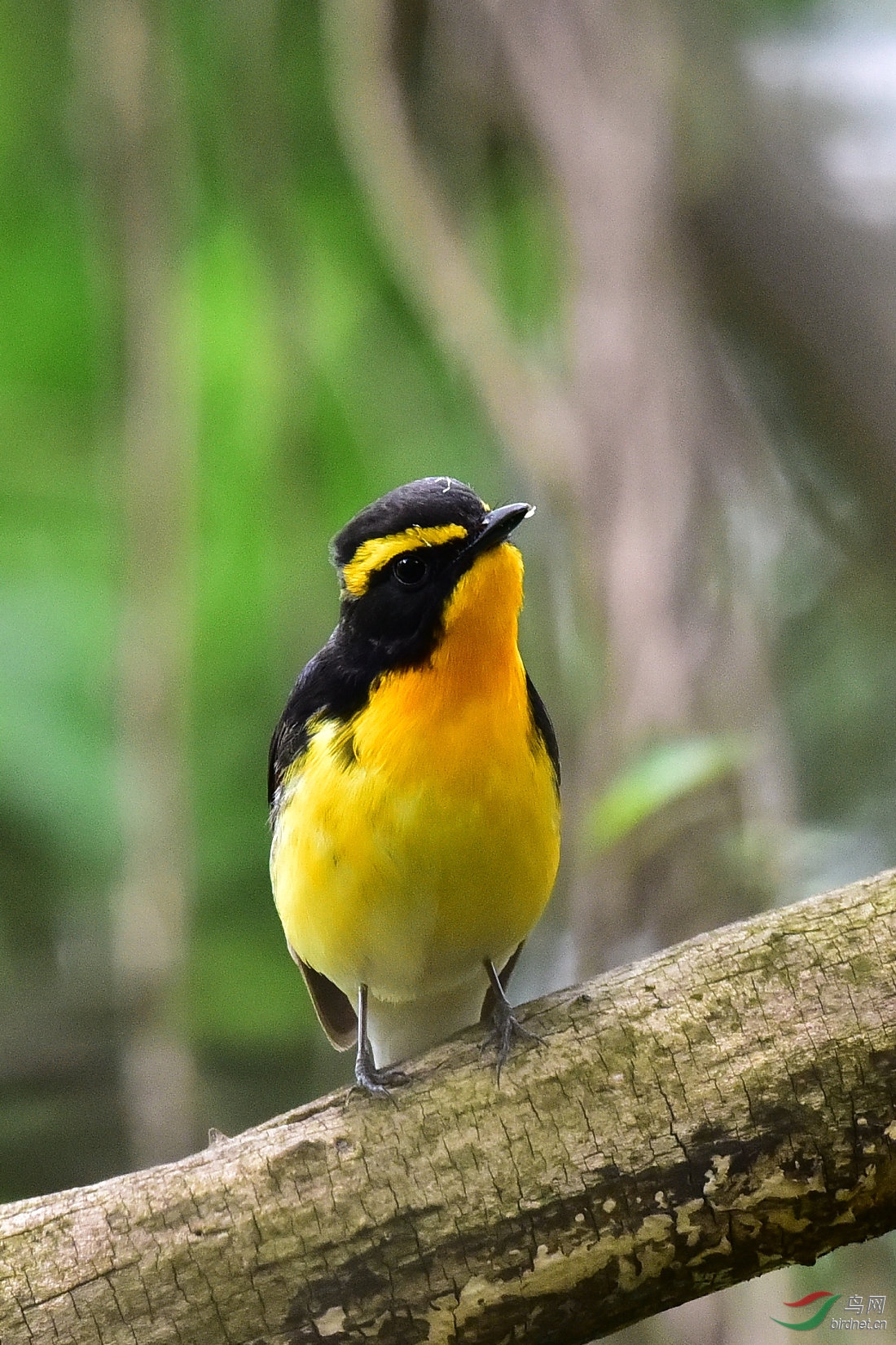 DSC_0577.JPG