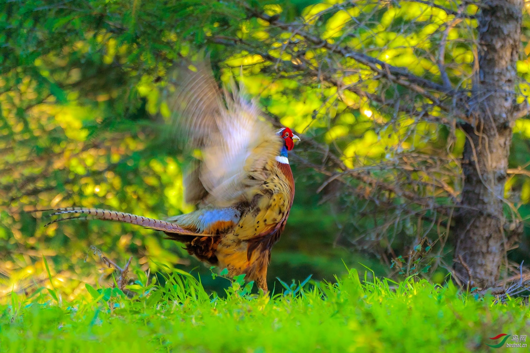 ͼƬ1 ����.jpg