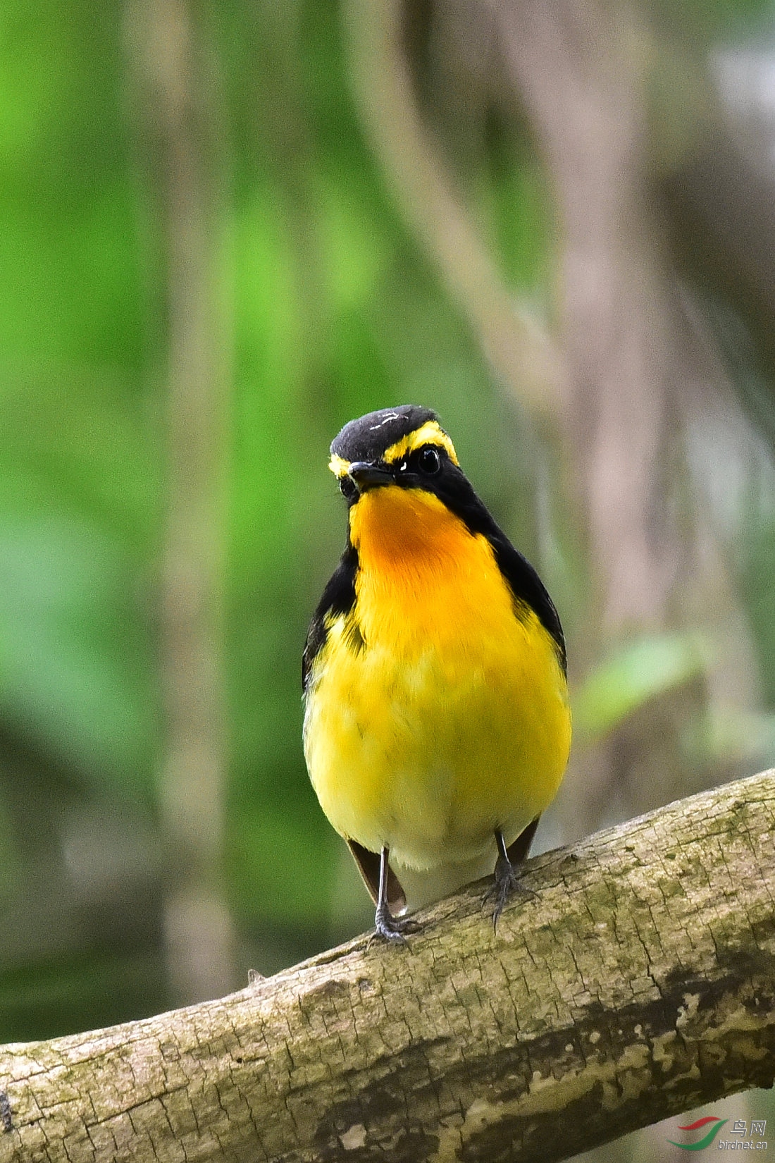 DSC_0579.JPG
