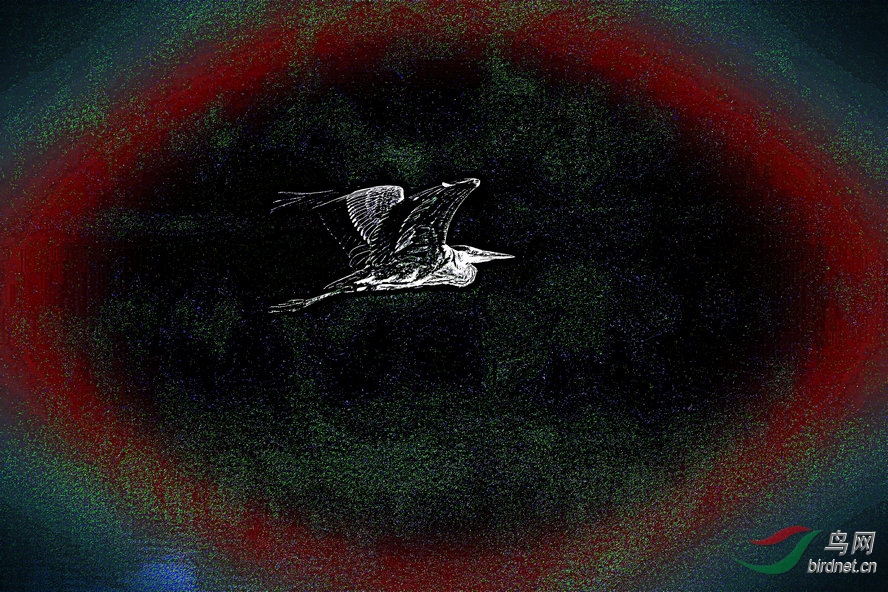 BW6I7943_����_����3_����2_����1_����1_����1_����.jpg