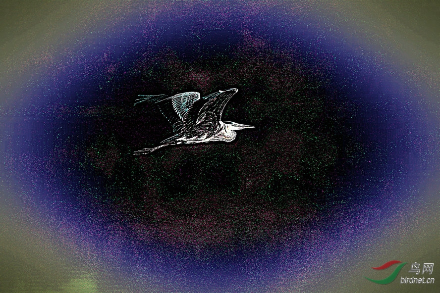 BW6I7943_����_����3_����.jpg