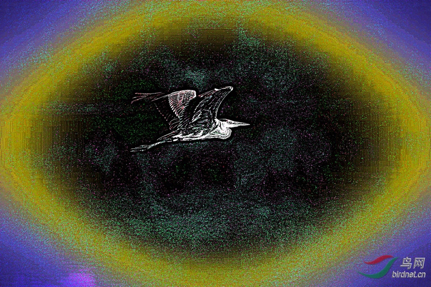 BW6I7943_����_����3_����2_����.jpg