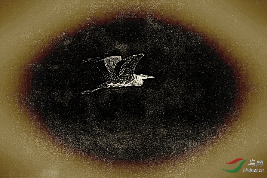 BW6I7943_����_����3_����1_����.jpg
