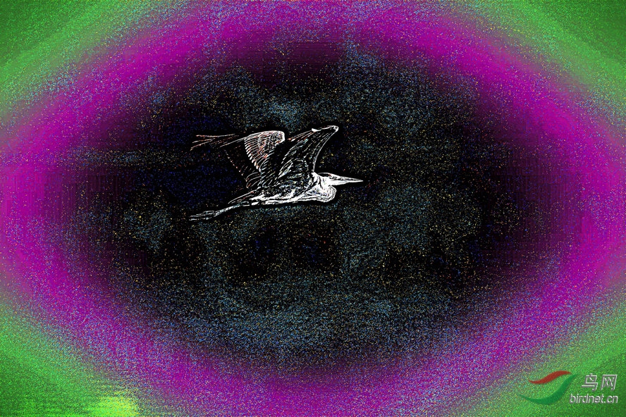 BW6I7943_����_����3_����2_����1_����.jpg