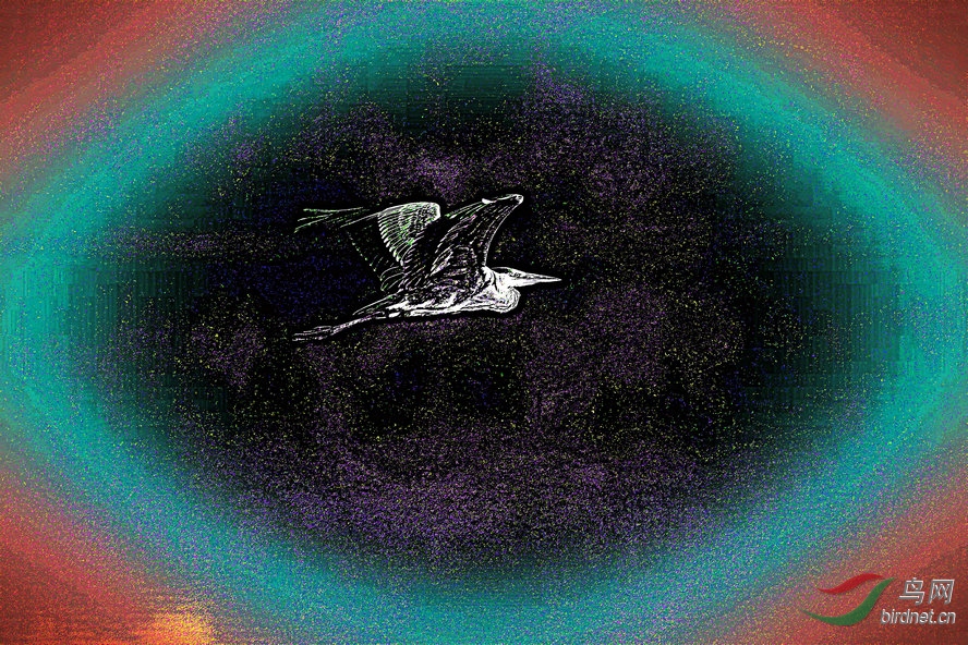 BW6I7943_����_����3_����2_����1_����1_����.jpg