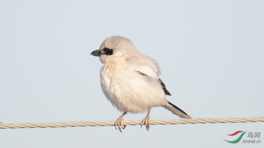 DSC_6624.JPG