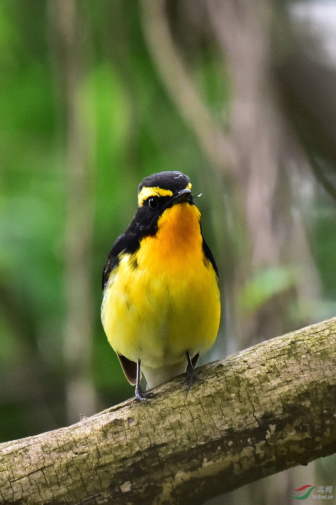 DSC_0584.JPG