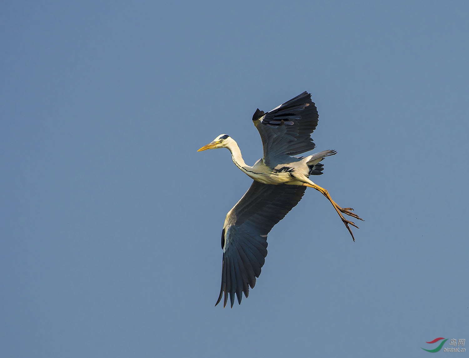 DSC_5576.jpg