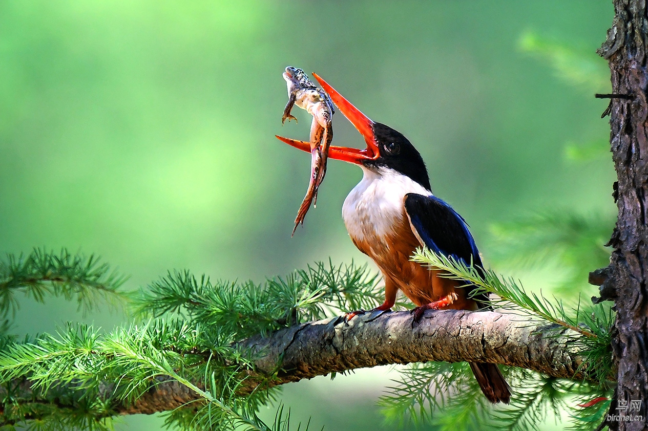 7.�����ջ�����䣩1048AM.jpg