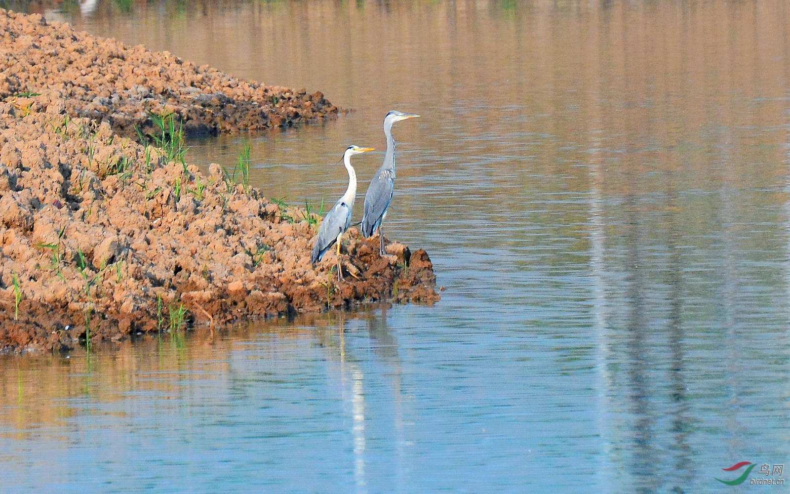 DSC_3675.JPG