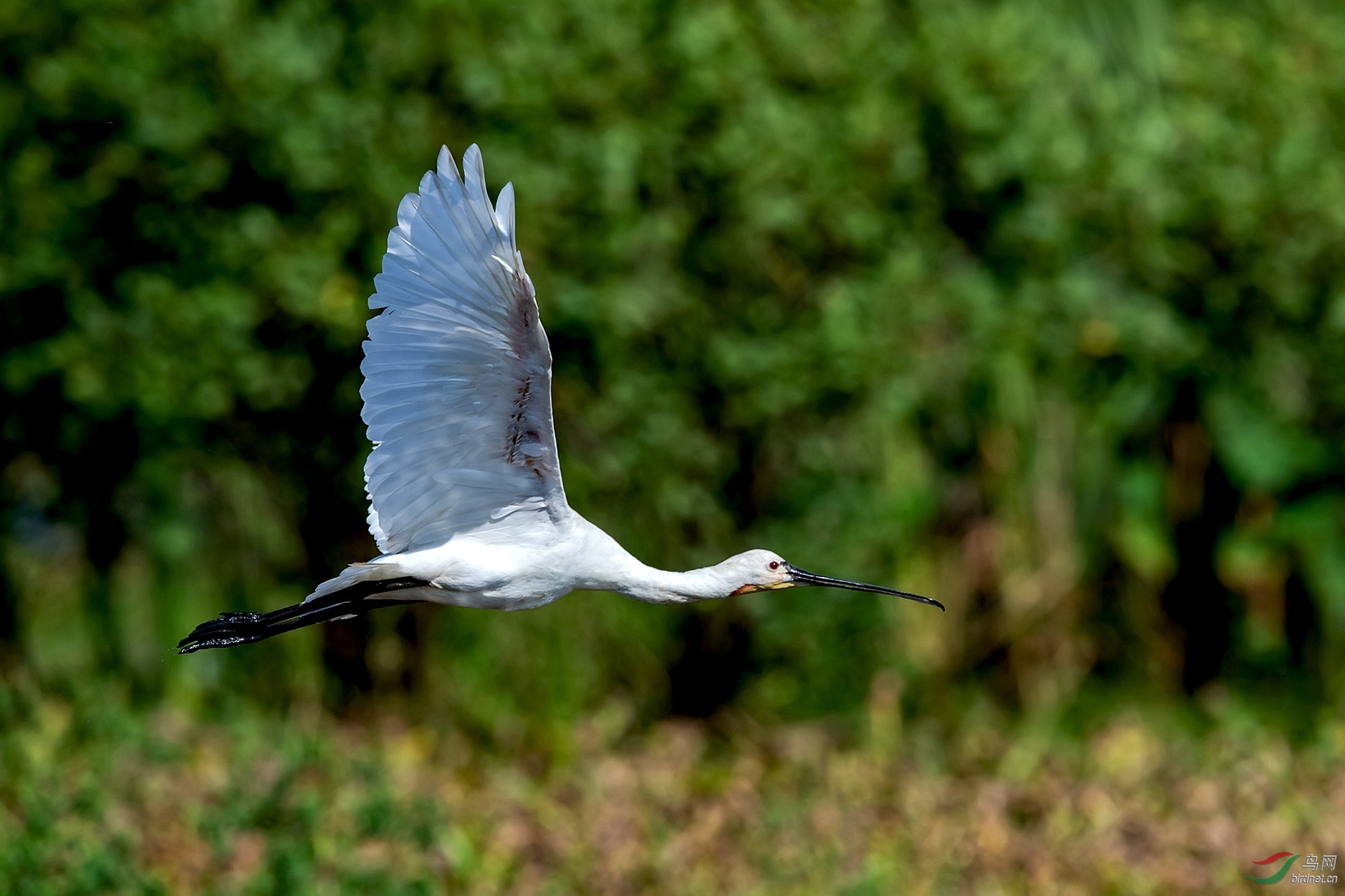 DSC_0839_1.jpg