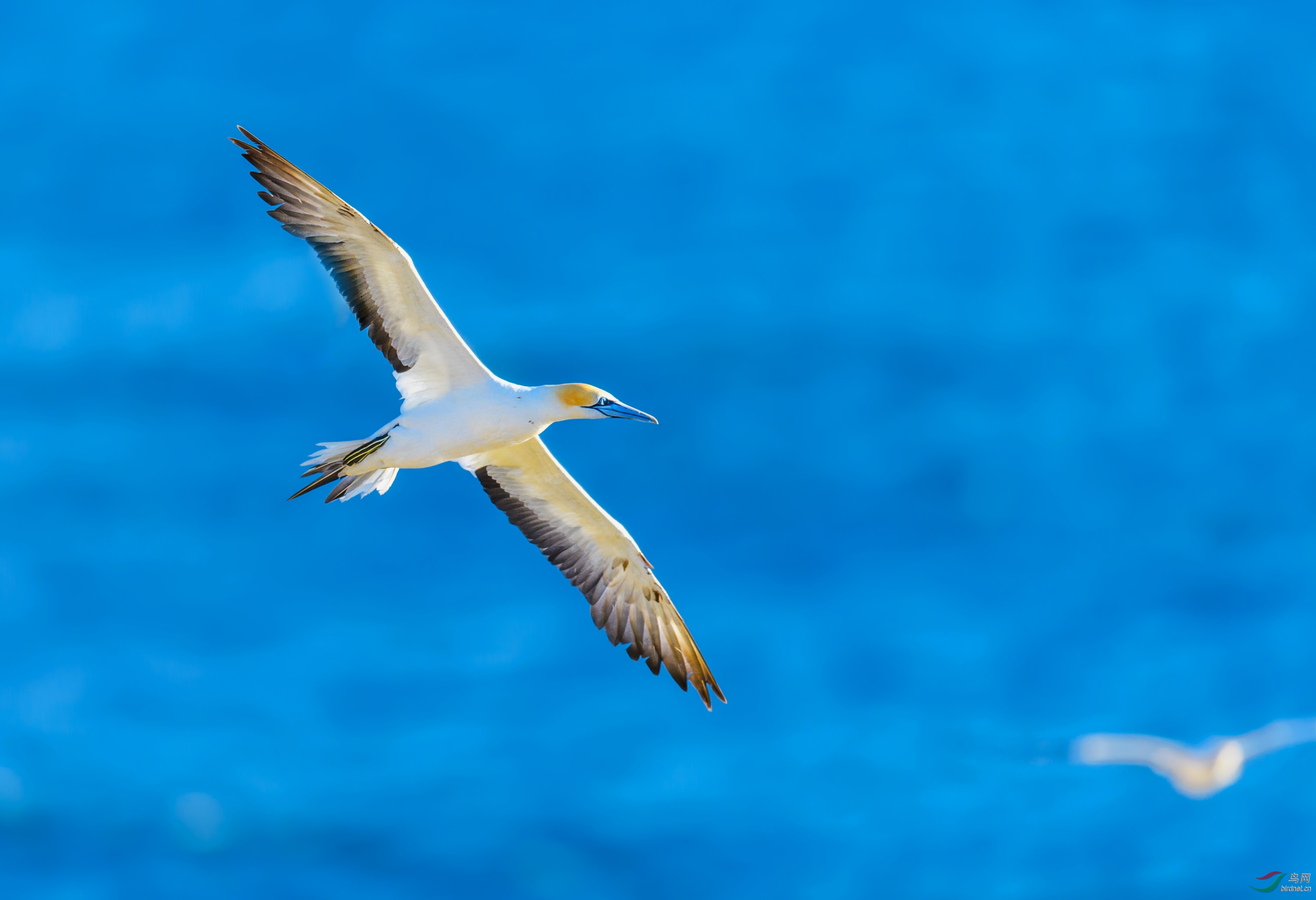 _DSC2823a_1.jpg