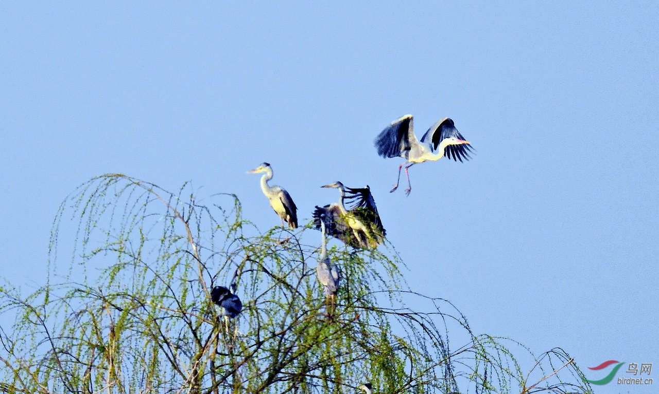 DSCN5962.JPG
