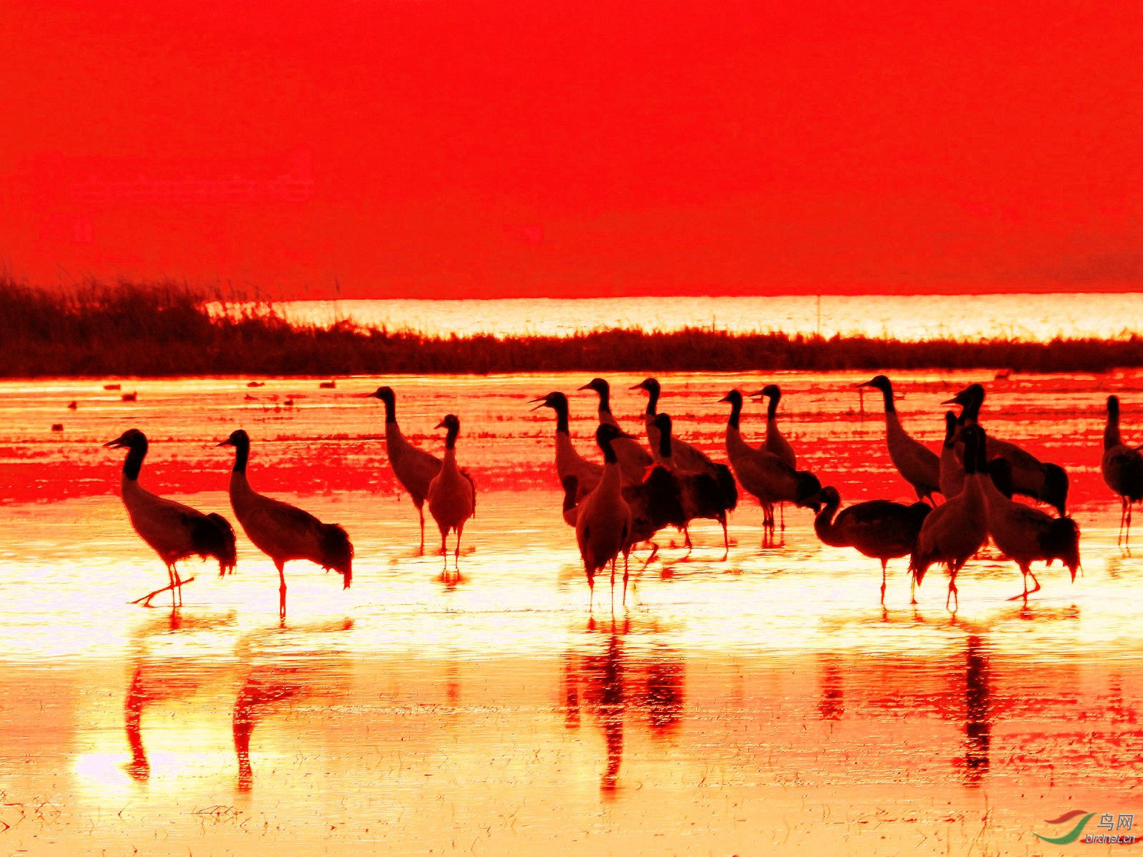 2019.03.03 1676_chhjh.jpg