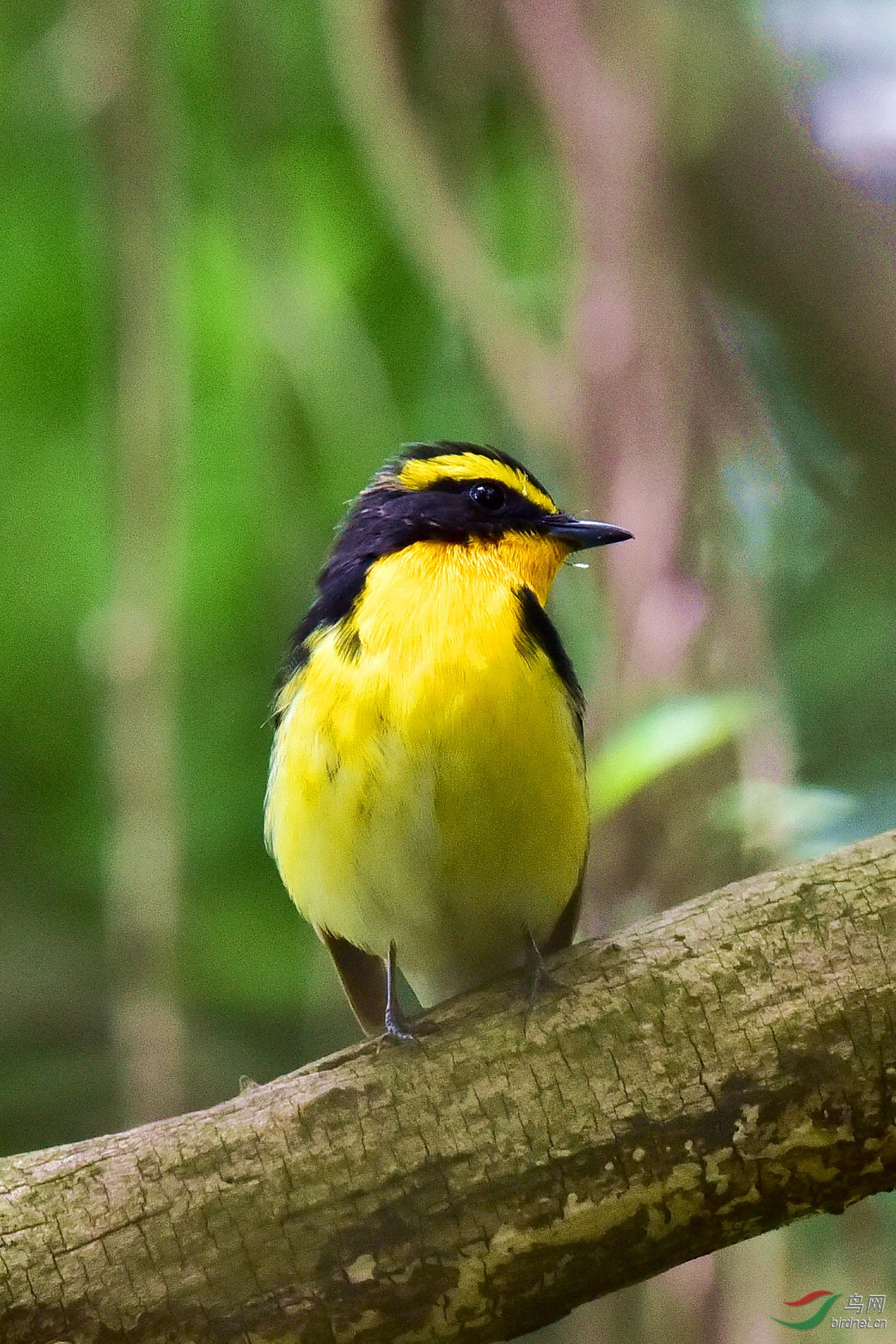 DSC_0585.JPG
