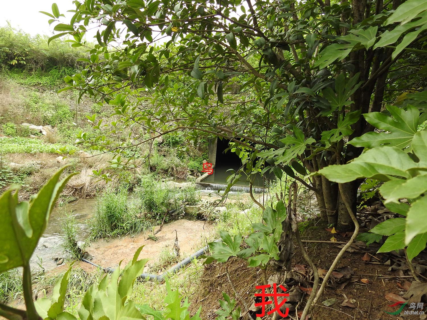 DSCN3419.jpg