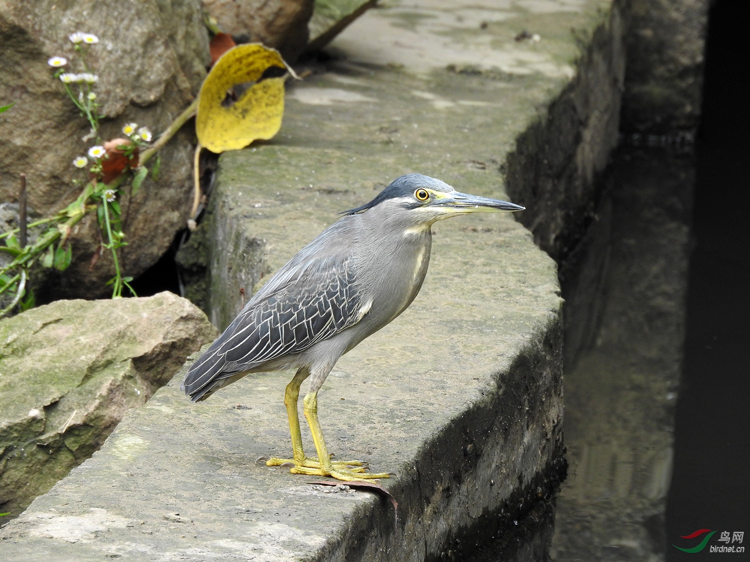DSCN3423.jpg