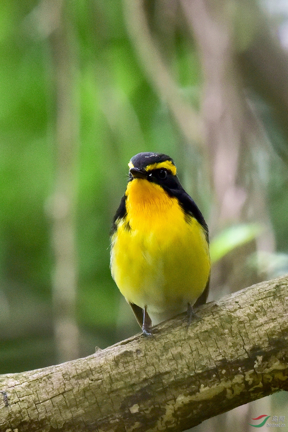 DSC_0587.JPG