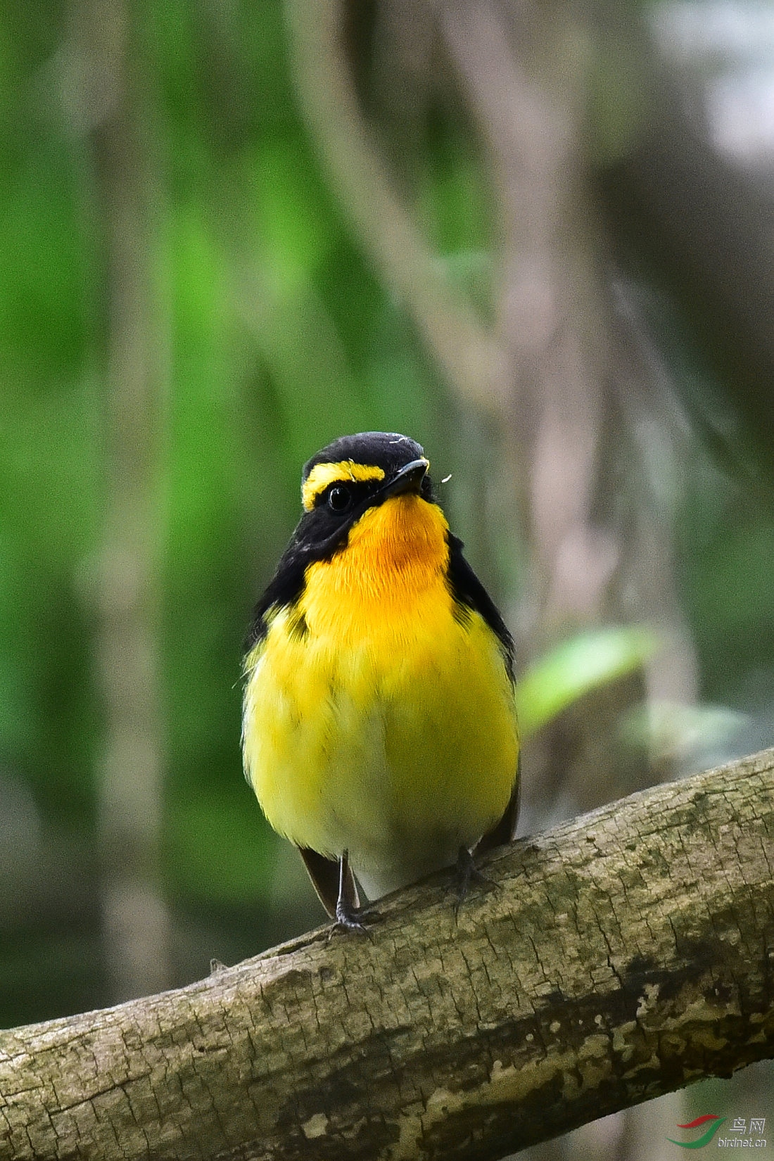 DSC_0588.JPG